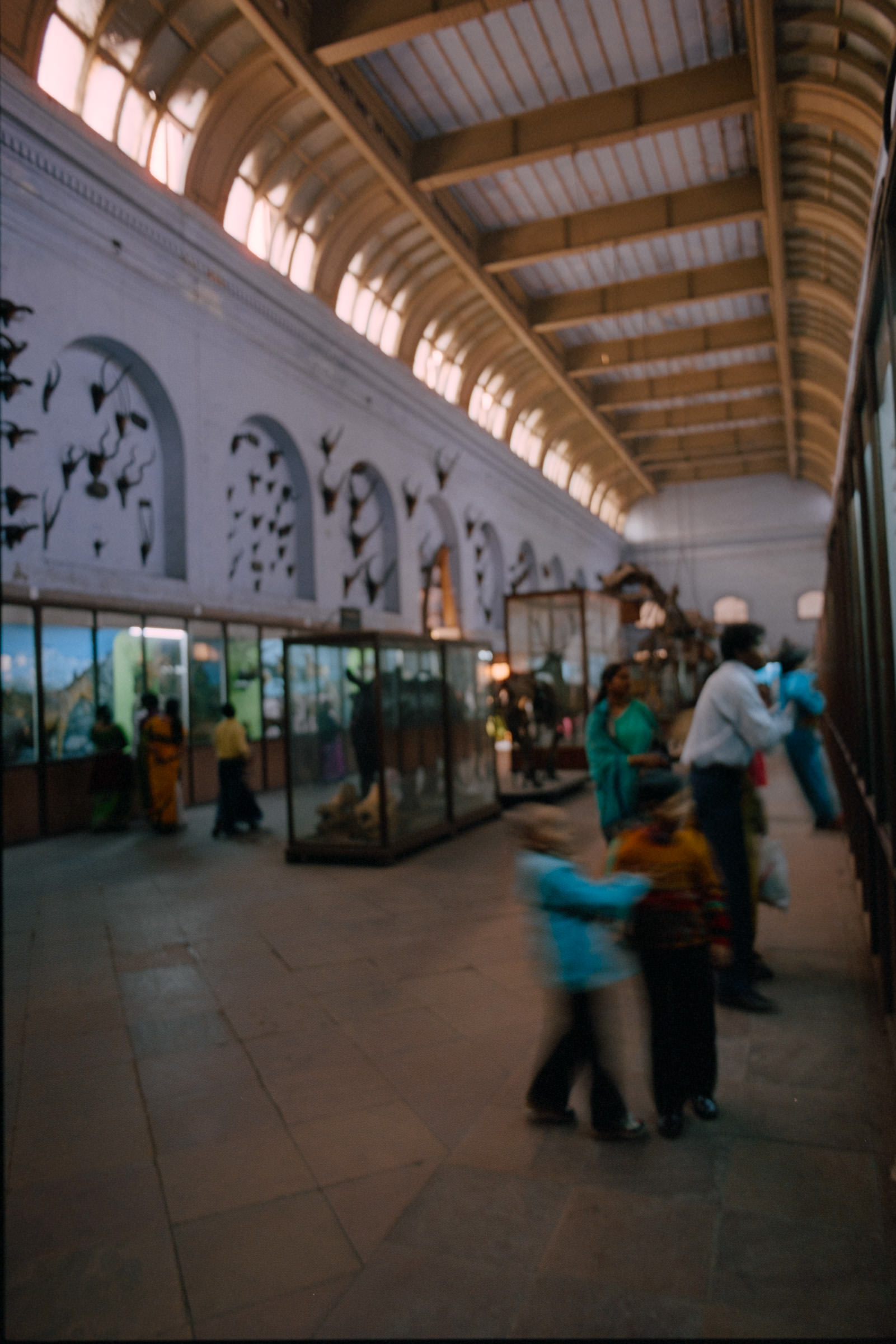 AHP film 2005 01 001 sc240825 img16 NLP